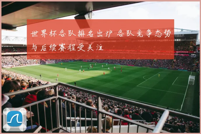 世界杯各队排名出炉 各队竞争态势与后续赛程受关注