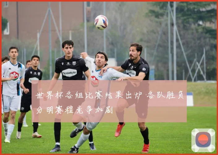 世界杯各组比赛结果出炉 各队胜负分明赛程竞争加剧